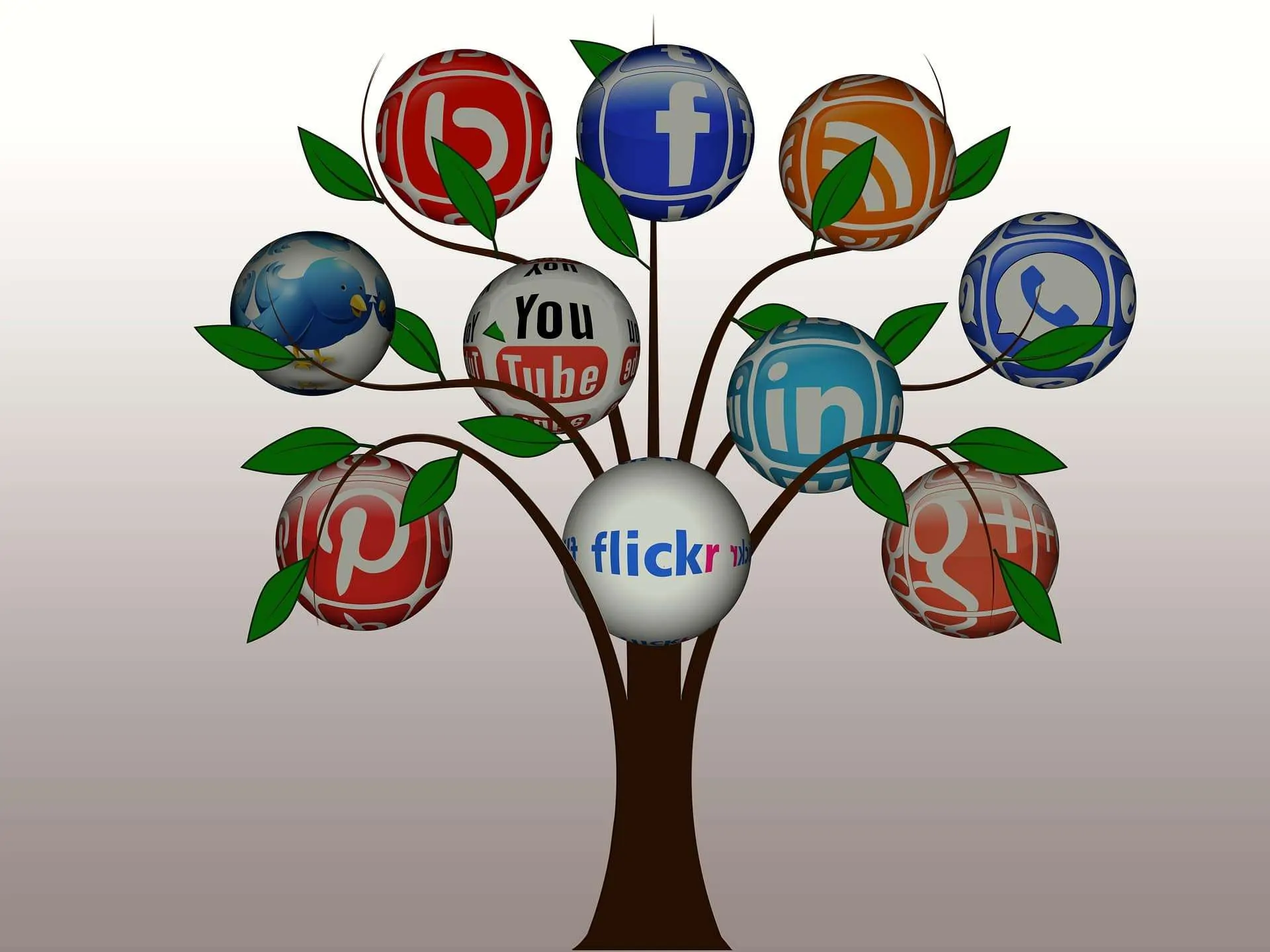 Social Media Marketing ROI | Tree of Social Media | eClincher