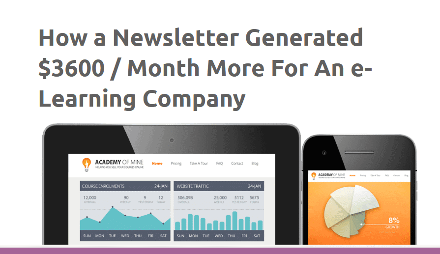 how newsletter email generated revenue 