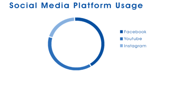 social media platform usage