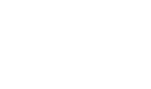 eclincher white logo