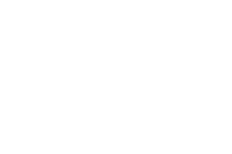 eclincher versus SoCi