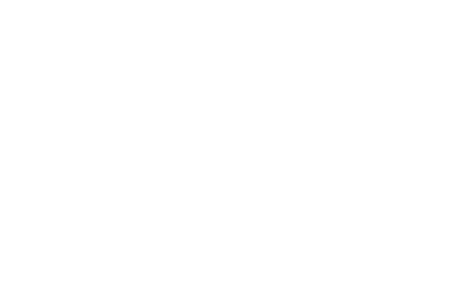 eclincher versus SoCi