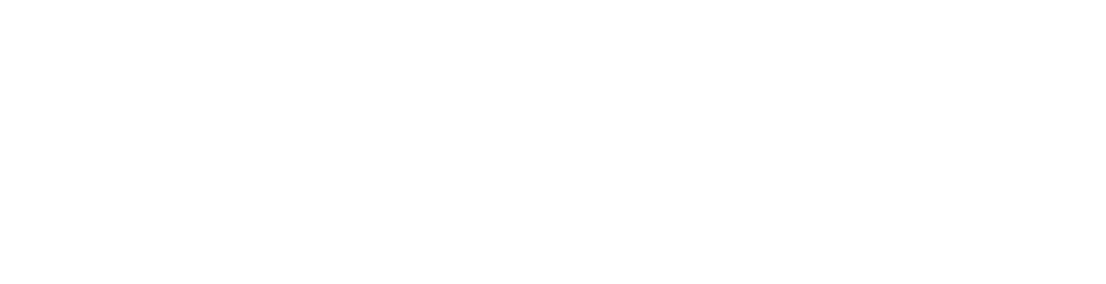 Partner/Affiliate Program - eclincher
