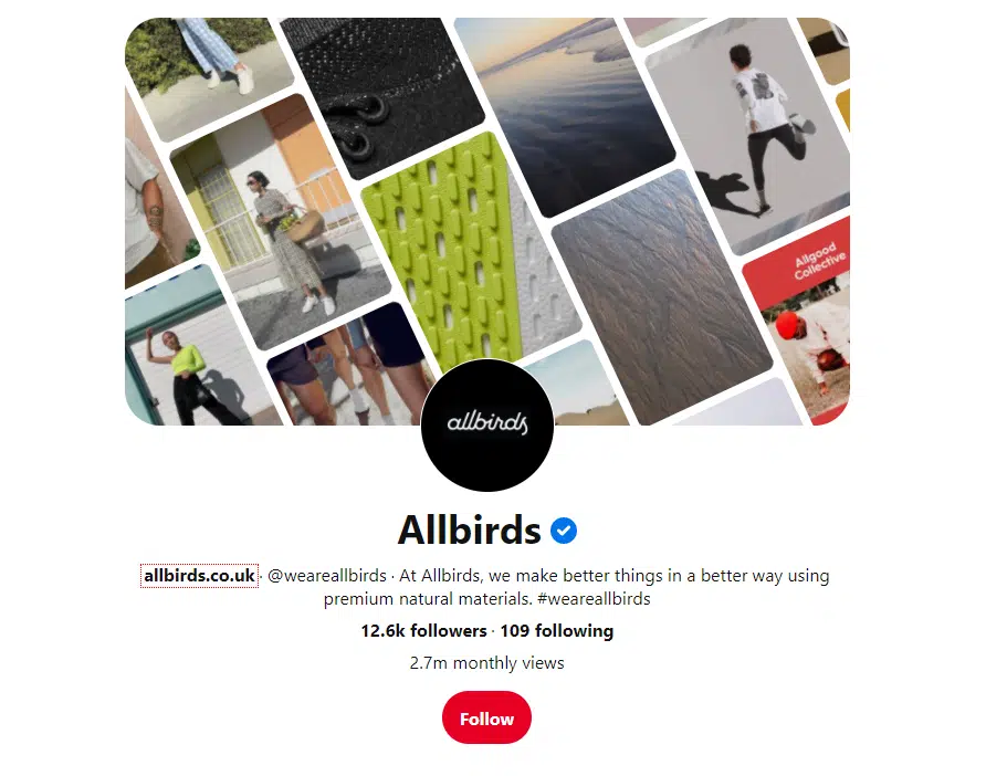 AllBirds-Pinterest-Views